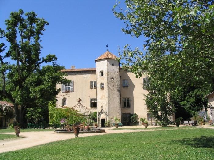 Chateau De La Chassaigne Apartment Thiers Room photo